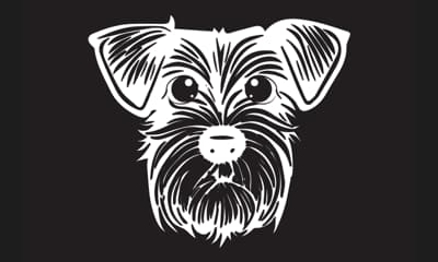Vector Conversion before and after image editing example