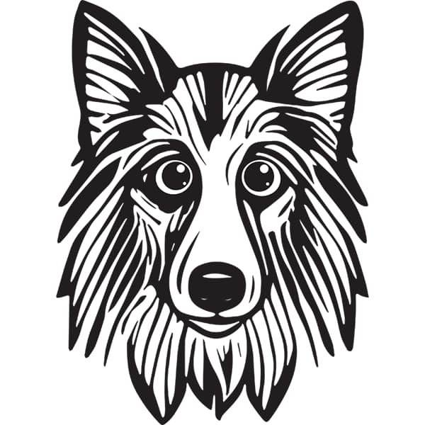 Before and after vector conversion sample 1