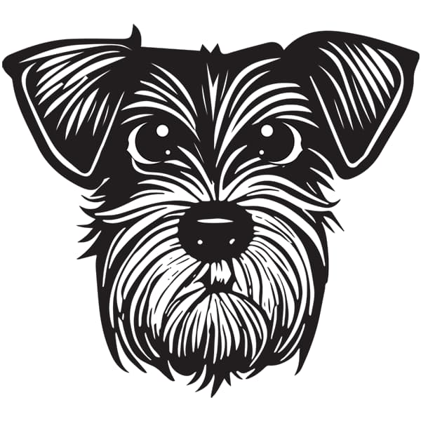Before and after vector conversion sample 2