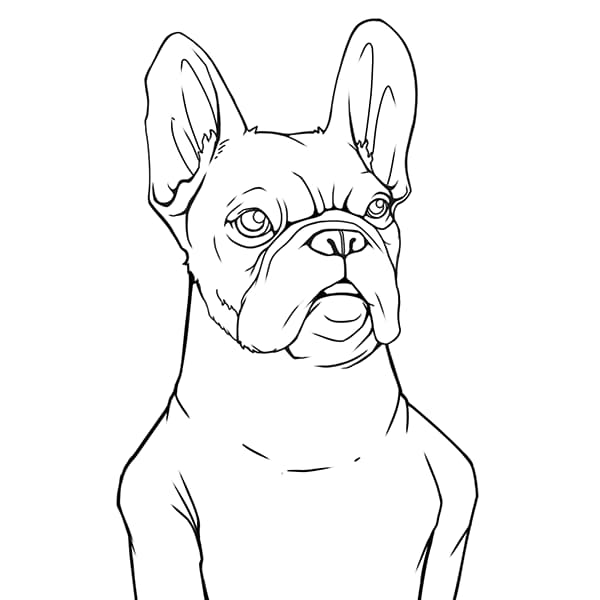 Before and after vector conversion sample 4